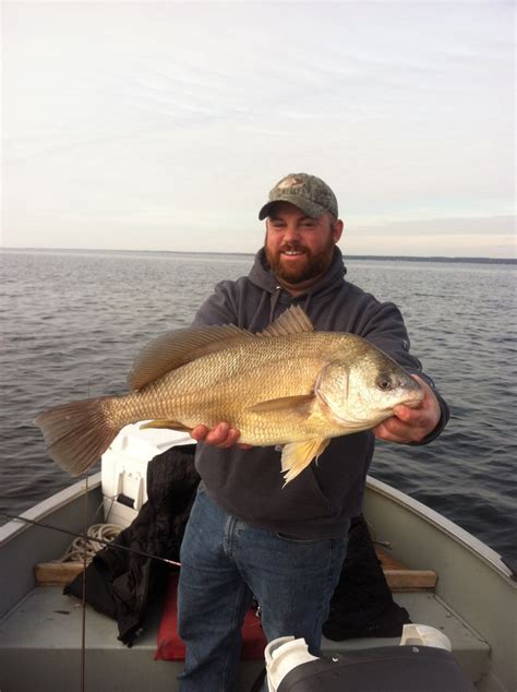 Oneida Lake Walleye Charters And Finger Lakes Trout Charters Lucky Buck