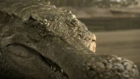 Image - Sarcosuchus-2.png - Planet Dinosaur Wiki