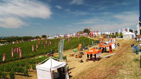 Enovitis in campo raddoppia in versione extrême VVQ Vigne Vini