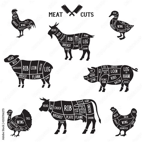 Meat cuts set. Diagrams for butcher shop. Scheme of chicken, beef, pork ...