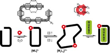 Metal Directed Self Assembly Of Constitutionally Dynamic Systems