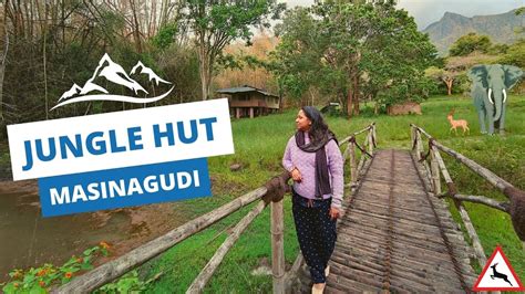 Jungle Hut Resort Masinagudi Gateway To Nature S Paradise YouTube