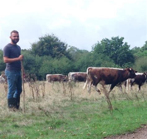 Regenerative Farm Moves Into Its Next Phase Alongside Knepps Rewilding Knepp