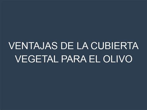 Ventajas De La Cubierta Vegetal Para El Olivo Agrotica Es