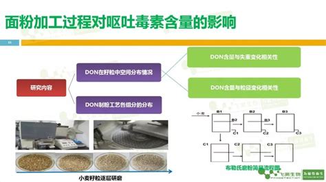 上海飞测生物联合“粉师之家”举办有关小麦面粉中呕吐毒素讲座的完整ppt放