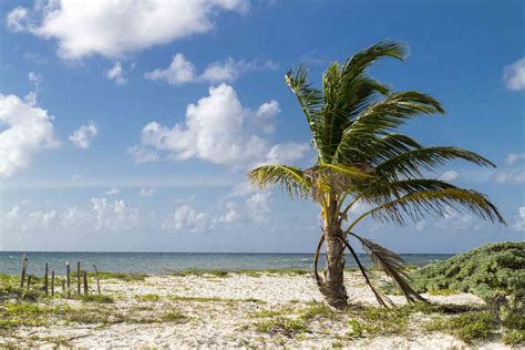 The Best Cozumel Beaches