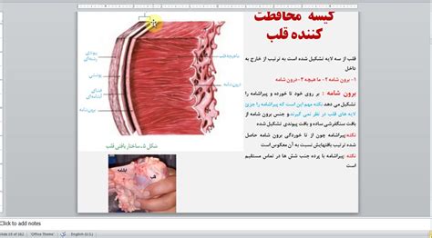 زیست دهم فصل 4 گفتار 1 بخش 2