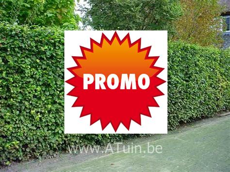 Online Planten En Tuincentrum Met Groeigarantie Atuin Webshop