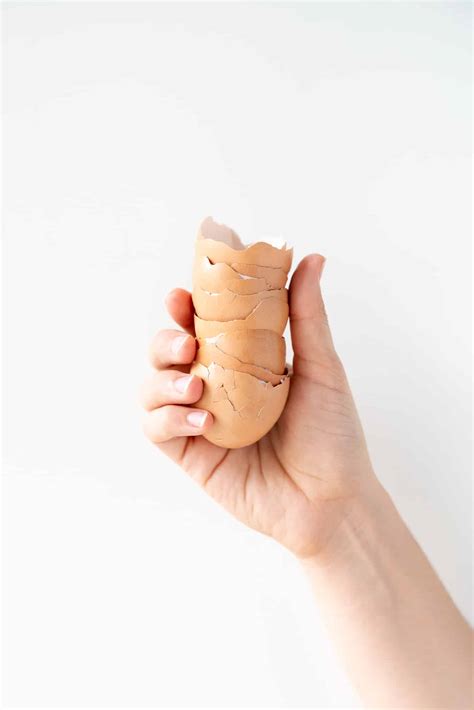 Are Pasture-Raised Eggs Better For You? - Free Your Fork