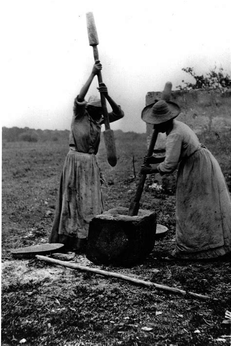 Cultural Landscape Of Plantation Slave Tasks