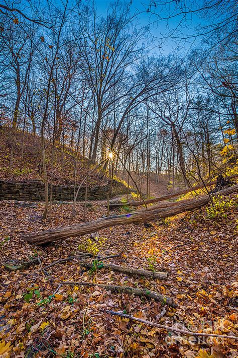 Thru The Woods Photograph By Andrew Slater Fine Art America