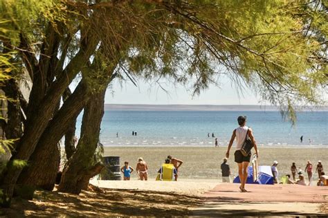 Qu Hacer Este Verano En Puerto Madryn Comercio Y Justicia