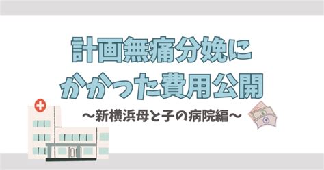 計画無痛分娩にかかった費用公開〜新横浜母と子の病院編〜 それドコ