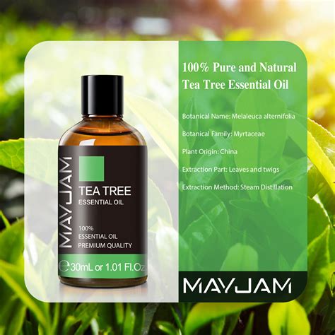 Mayjam Tea Tree Essential Oils 100 Pure And Natural For Diffuser 10ml