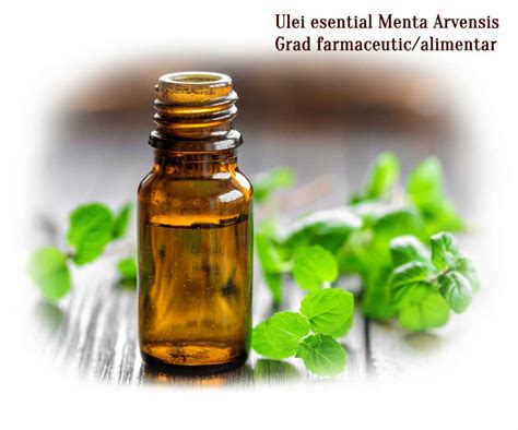 Ulei Esential Menta Arvensis 30Ml 50Ml 100Ml