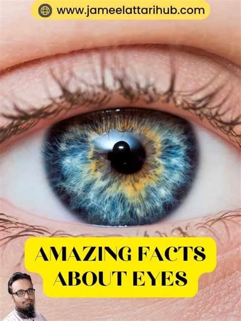 Amazing Facts About Eyes Jameelattarihub