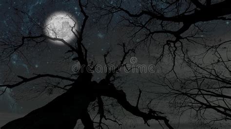 Night Sky in the Forest with Stars and Moon Stock Illustration ...