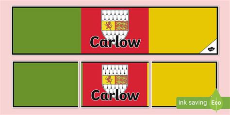 Carlow Display Banner Professor Feito Twinkl