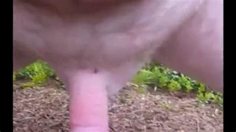 Ants By Bylting Porn Videos