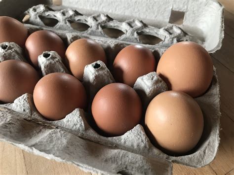 Dozen Organic Eggs Triple Green Jade Farm Willsboro NY