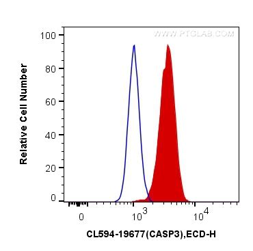 Caspase 3 p17 p19 antibody CL594 19677 Proteintech 武汉三鹰生物技术有限公司