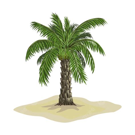 Date Palm Tree Vector Art Png Date Palm Tree On Desert Date Palm