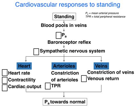 Physio Regulation Of Arterial Pressure And Integration Of