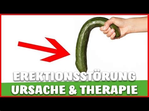 Erektionsst Rung Und Was Du Zu Den Ursachen Und Der Therapie Wissen