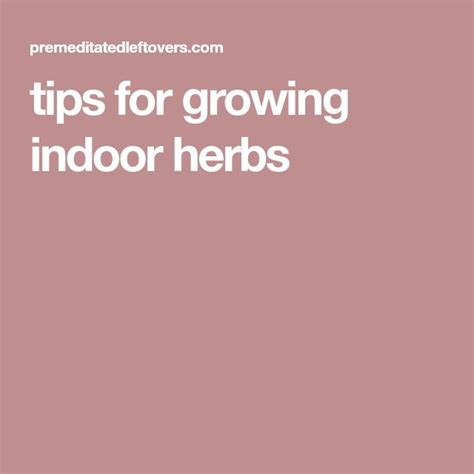 Tips For Growing Indoor Herbs