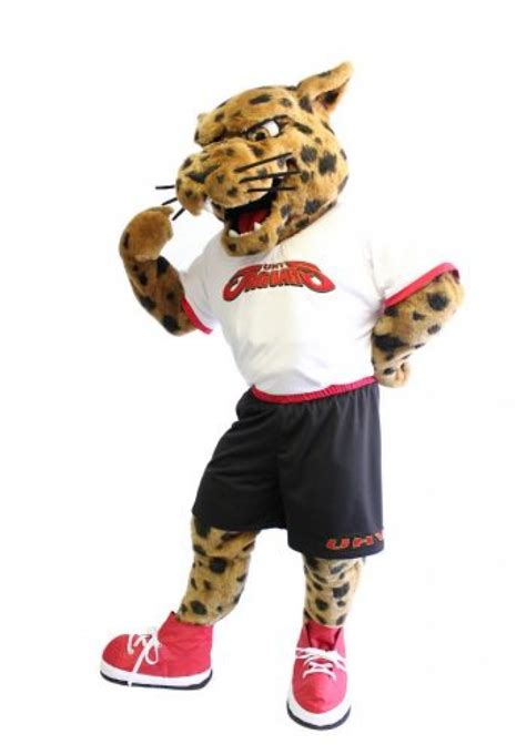 University of Houston Victoria Mascot Costume