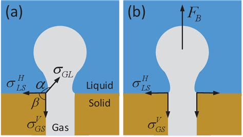 Figure 1 From The Role Of Solid Surface In Bubble Formation And