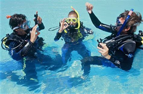 Cape Town Discover Scuba Diving Experience Getyourguide