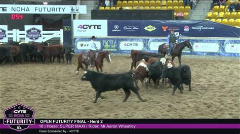 2023 Ncha Futurity Open Futurity Final Draw 18 Aaron Wheatley