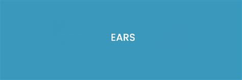 Ears Finance
