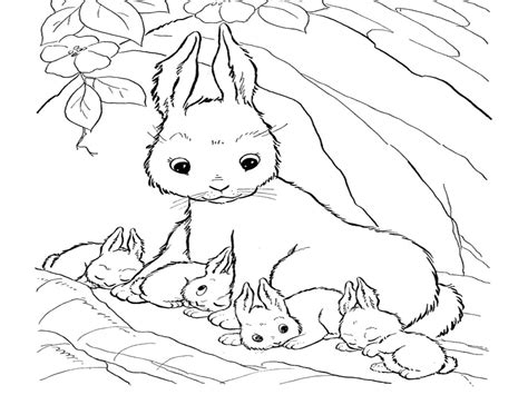 Desenho De Mamãe Coelho E Filhotinhos Para Colorir Tudodesenhos