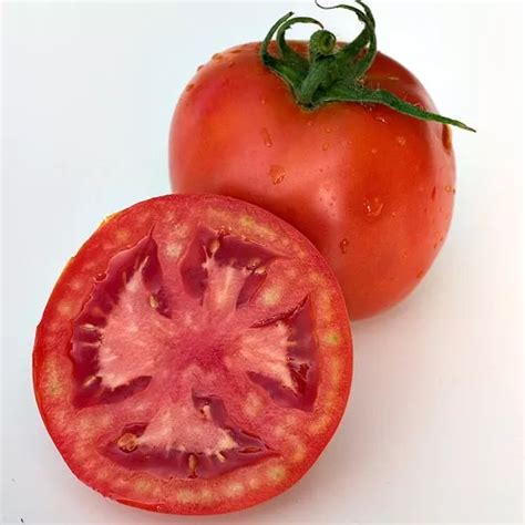 Sementes Tomate Super Marmande Gaucho Legumes Para Mudas