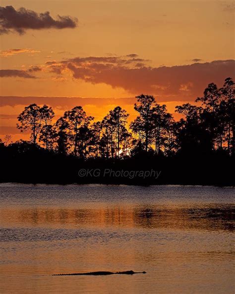 Sunset Everglades National Park Hidden Lake Everglades Sawgrass