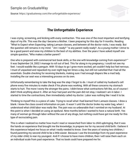 ⇉the Unforgettable Experience Essay Example Graduateway