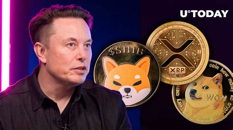 Elon Musk Triggers Reaction Of Doge Shib Xrp Armies With His Tweet