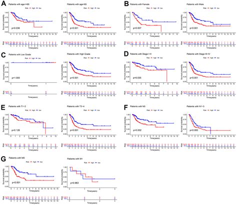 Construction And Validation Of Cuproptosis Related LncRNA Prediction