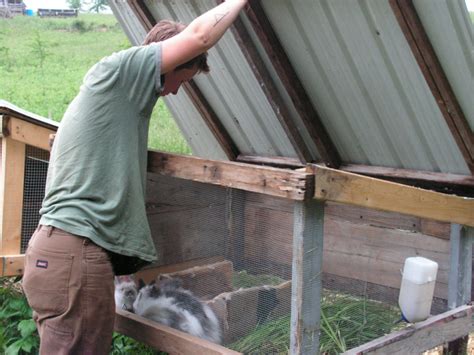 Enclos Exterieur Lapin Fait Maison Ventana Blog