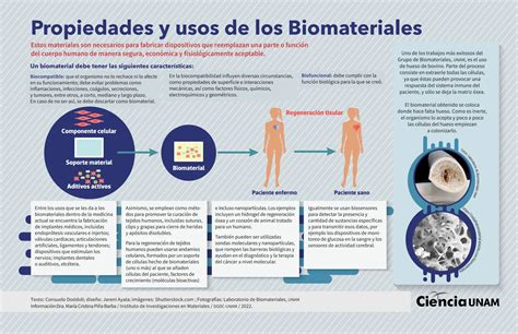 Qu Son Los Biomateriales Iccsi