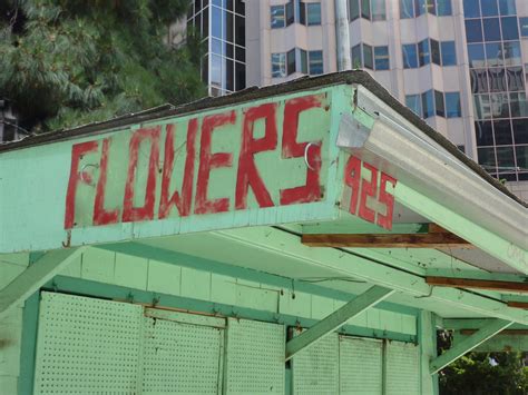 Flower Stand Transbay Terminal San Francisco Ca Frank Synopsis