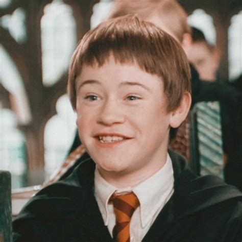 seamus finnigan •.* ࿔ | Harry potter, Potterhead, Griffindor