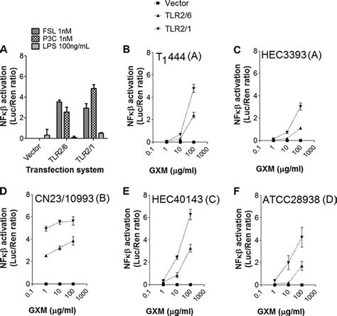 Nf B Activation In Cells Expressing Tlrs By Gxm A Control Systems