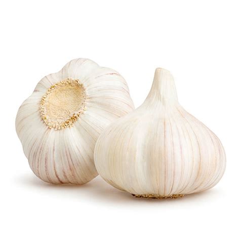 High Quality Chinese Fresh Garlic For Exportchina Price Supplier 21food