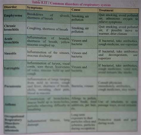 Solution Respiratory System Common Disorder Of Respiratory System