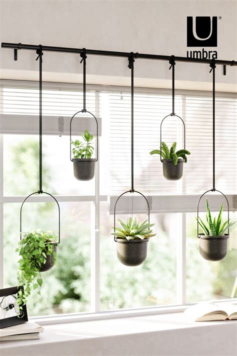 Triflora Large Hanging Planter | Modern Indoor & Outdoor Planter Set ...