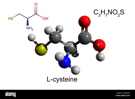 Chemical formula, structural formula and 3D ball-and-stick model of L ...