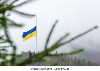 88 Carpathia flag 이미지, 스톡 사진 및 벡터 | Shutterstock